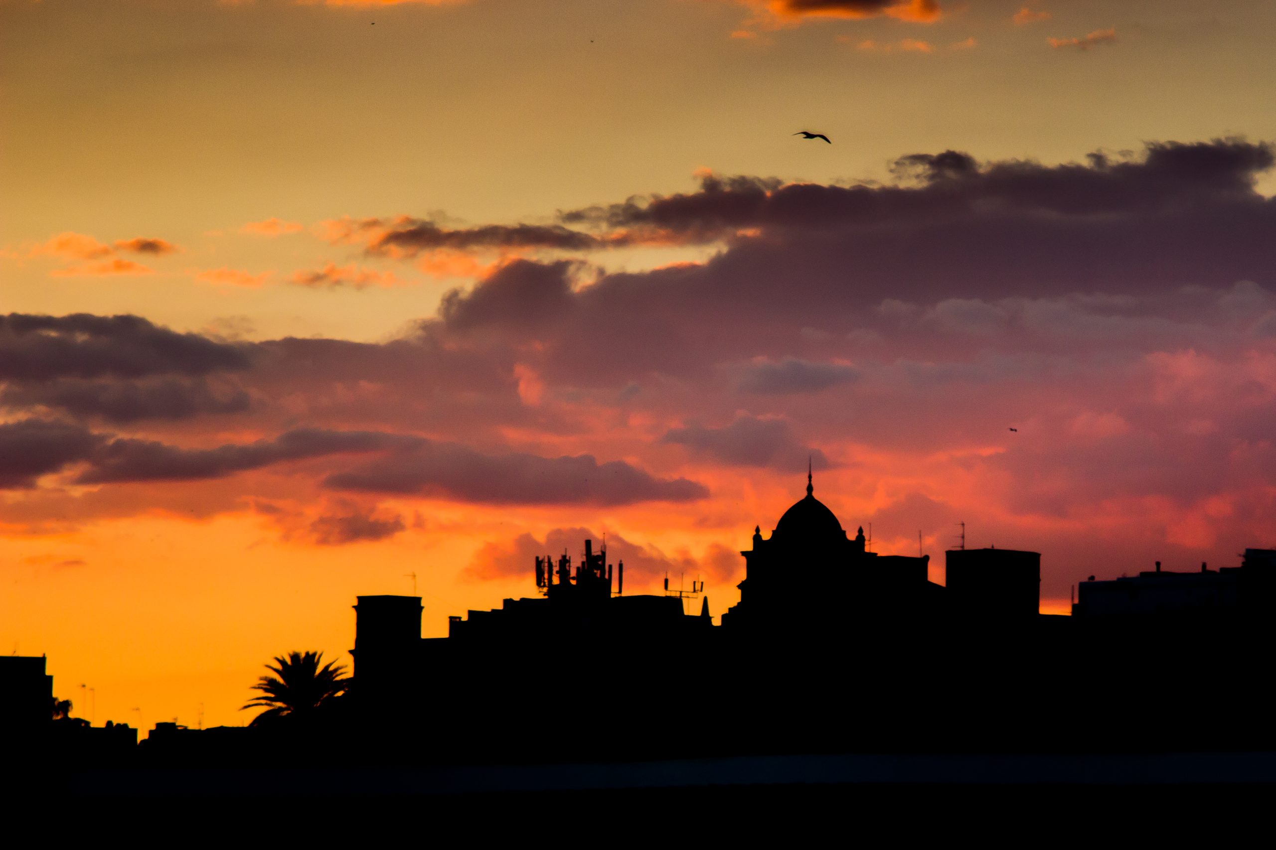 horizonte-al-atardecer