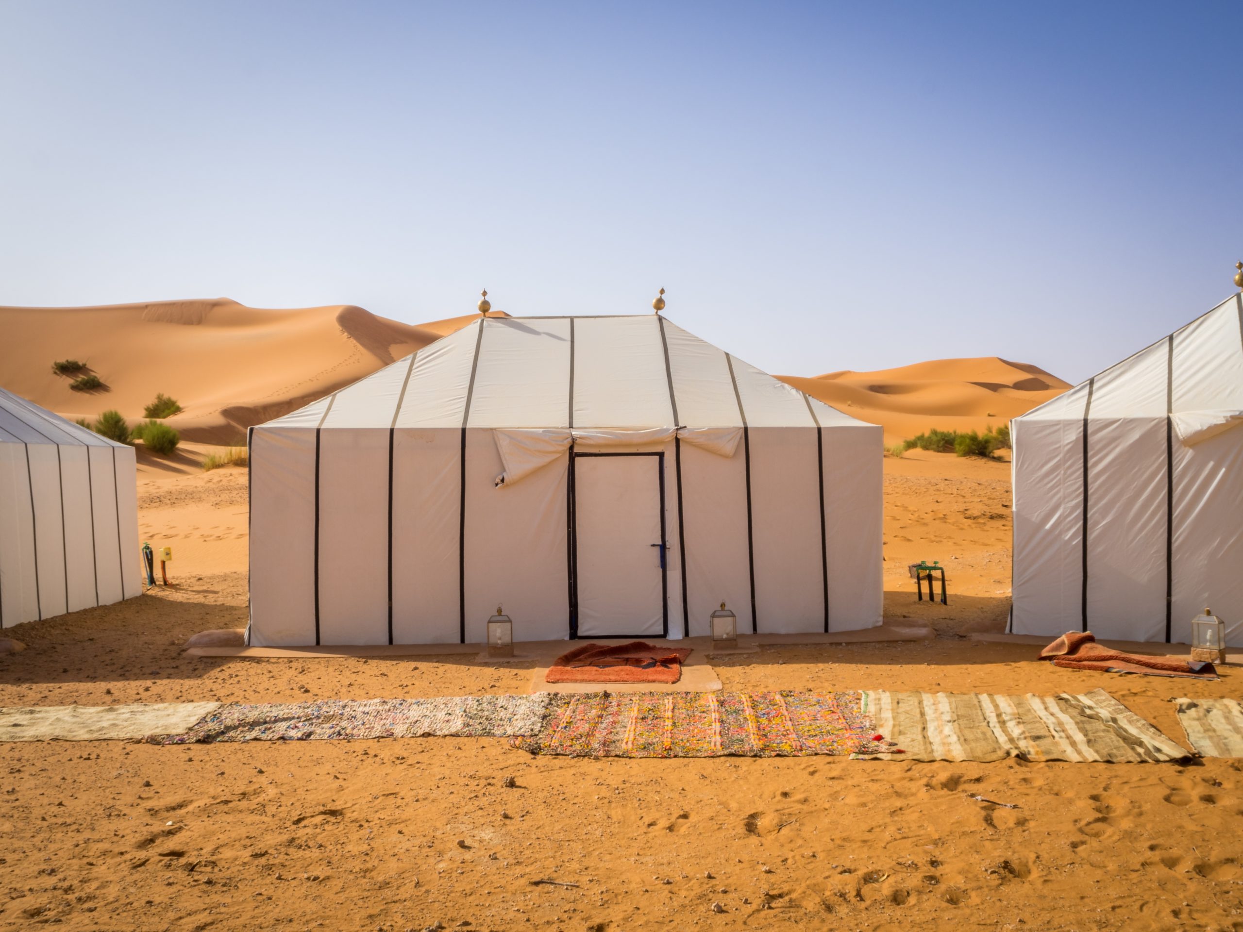 The white Berber tents in the Sahara Desert, Morocco with carpets on the sandy ground